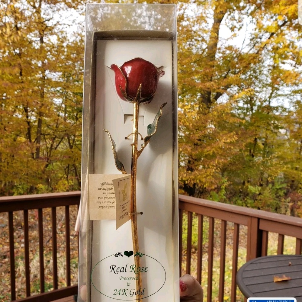 Rose covered in 24K Gold